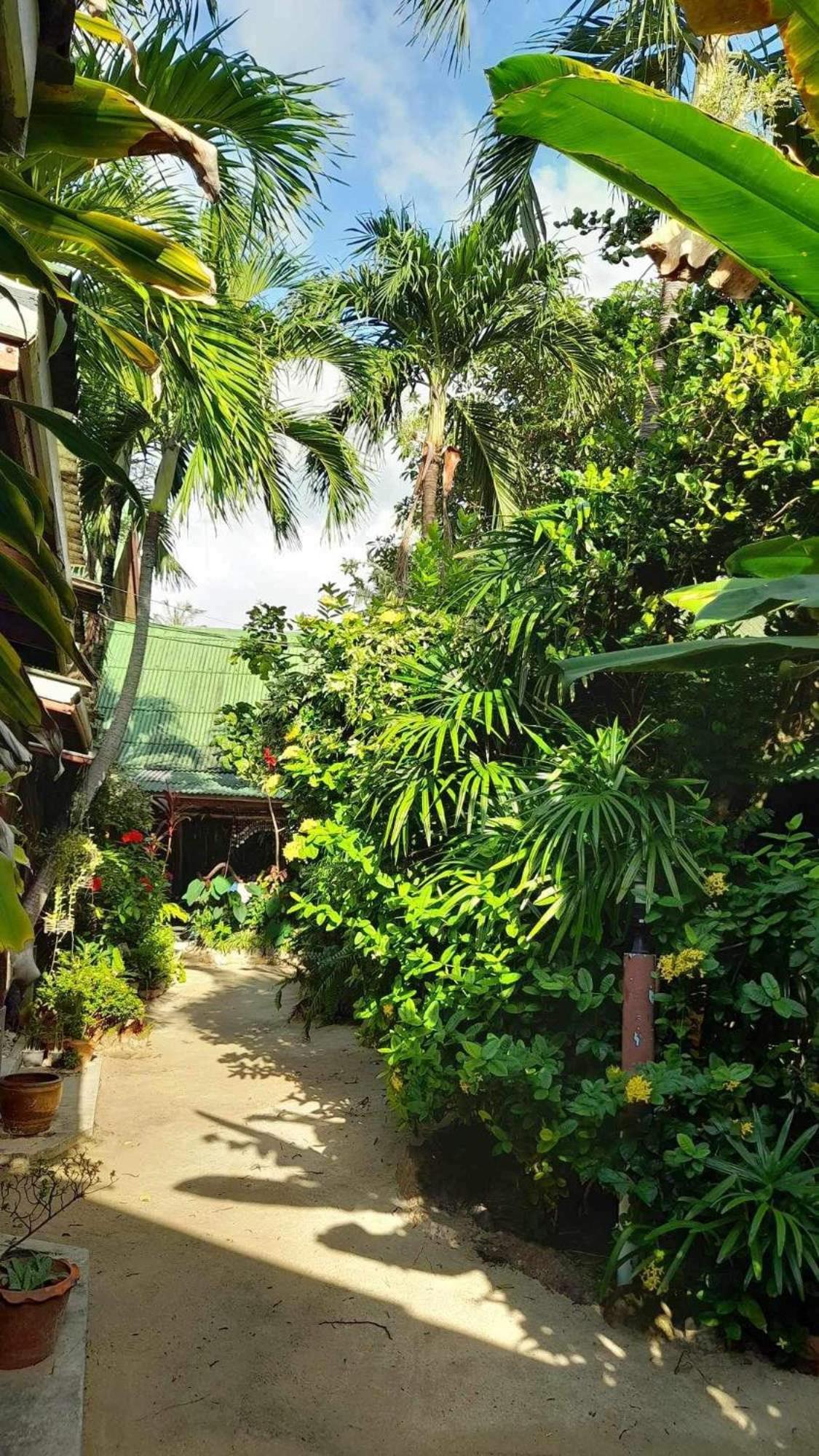 Beer'S House Bungalows เบียร์เฮ้าส์บังกะโล Ban Lamai 외부 사진