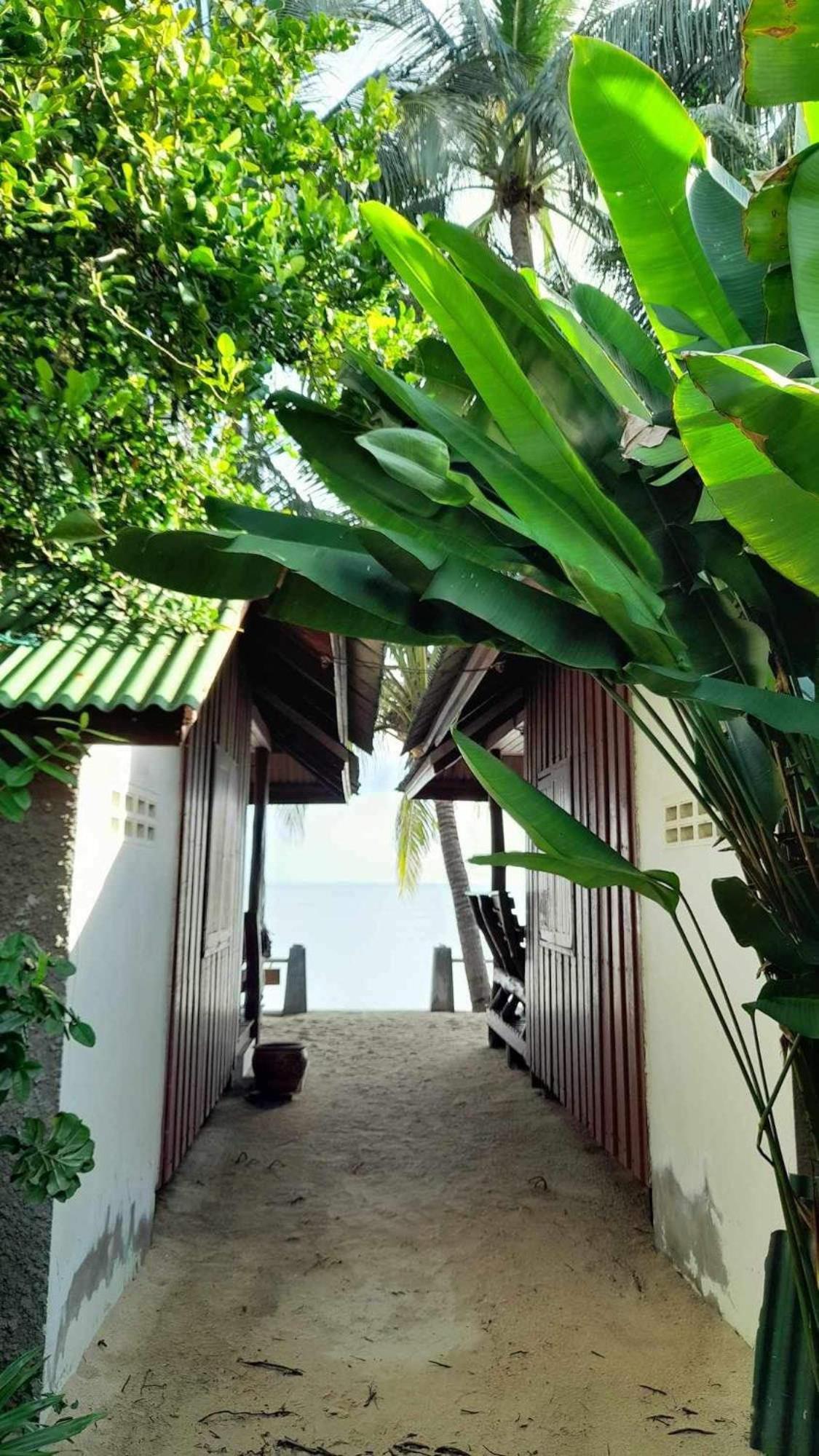 Beer'S House Bungalows เบียร์เฮ้าส์บังกะโล Ban Lamai 외부 사진